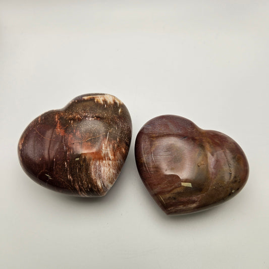 Petrified Wood Heart 3
