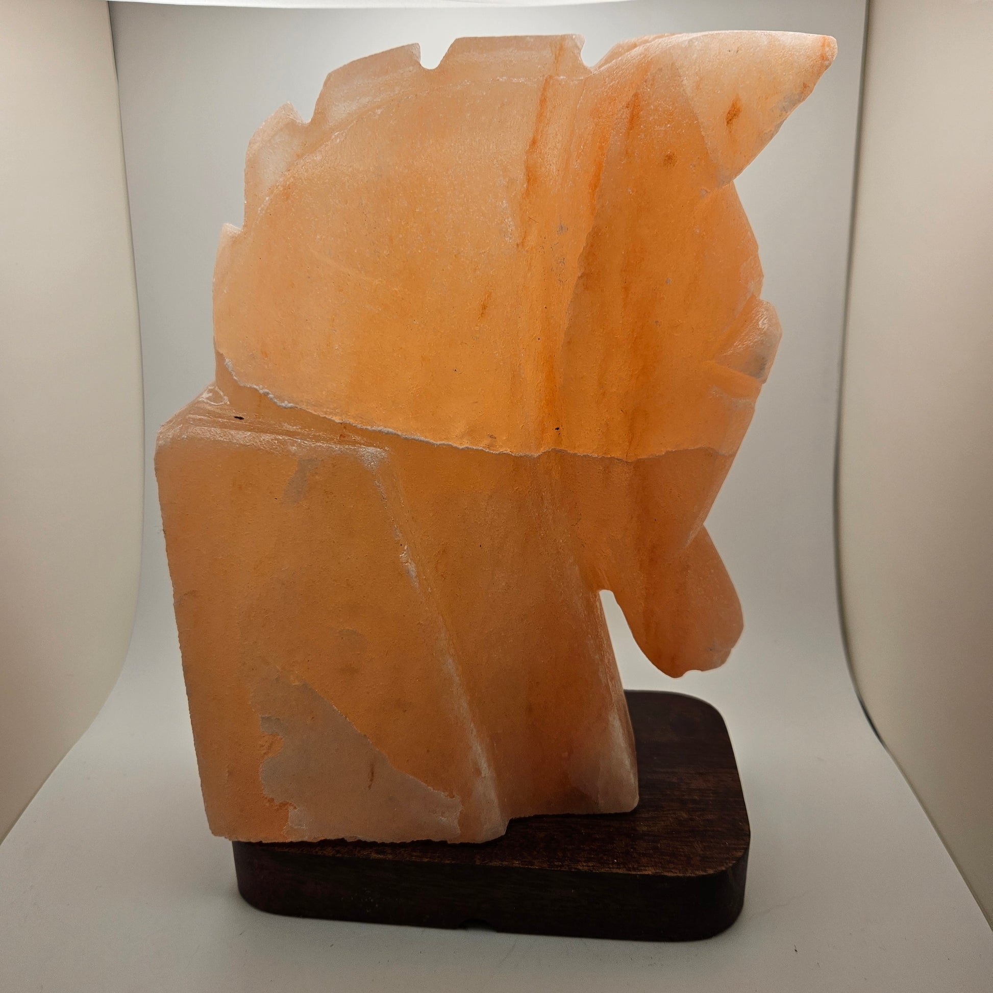 Horse Himalayan Salt Lamp