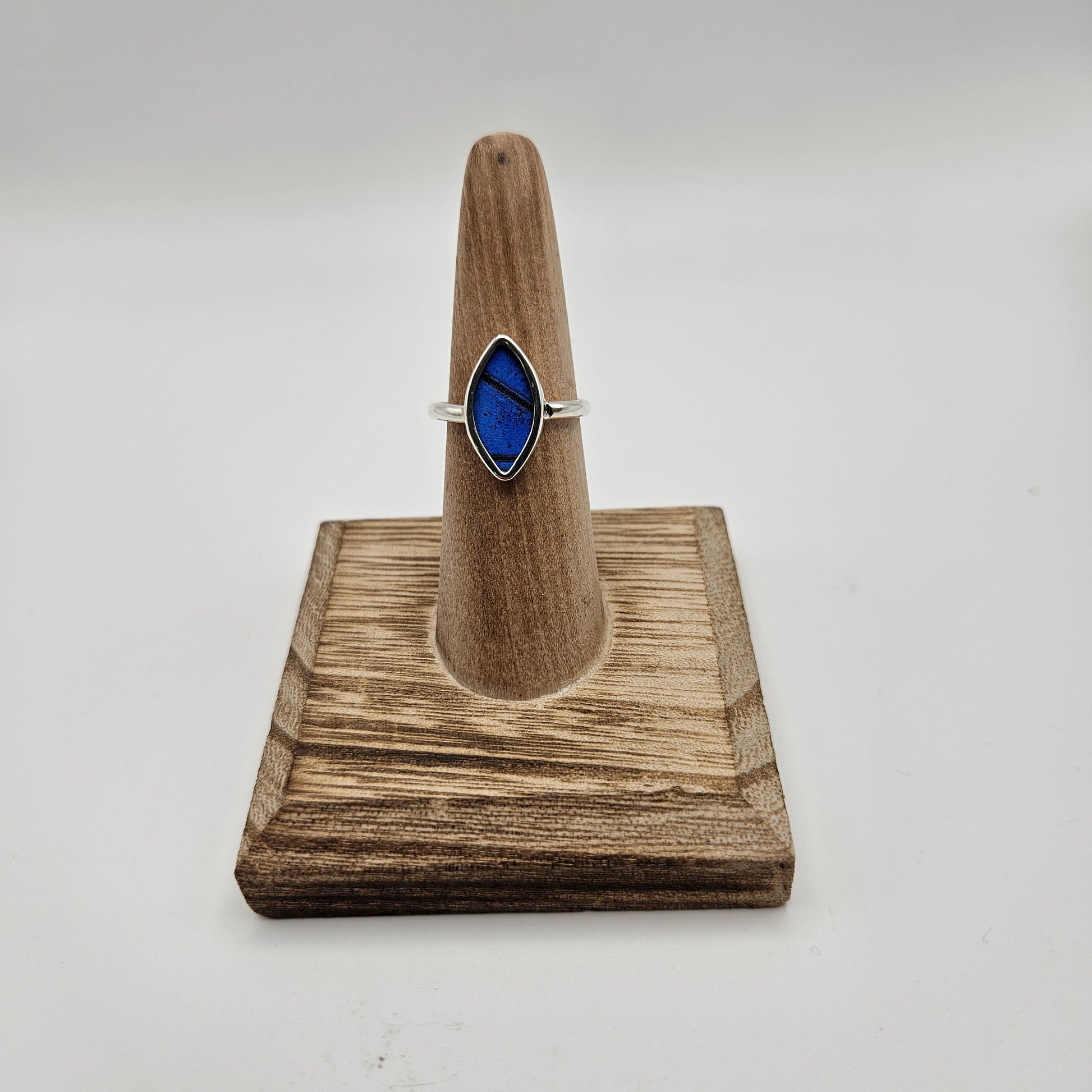 SS Morpho Helena Oval Size 8