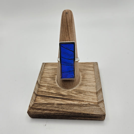SS Morpho Rectangle Size Adjustable