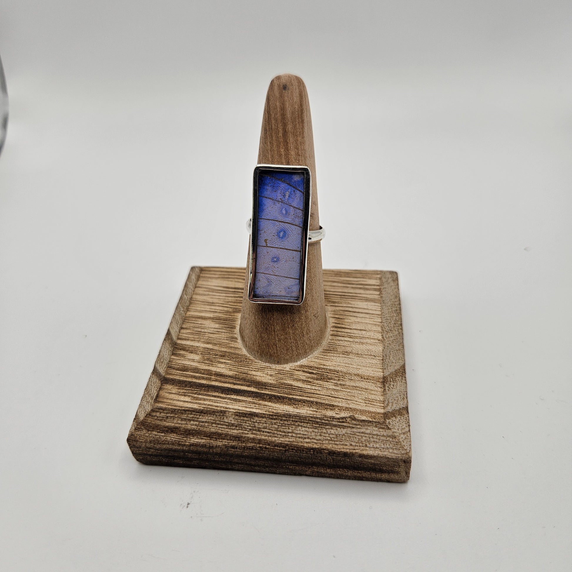 SS Morpho Rectangle Size Adjustable