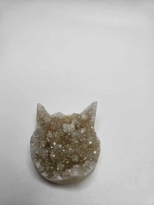 cat-head-stone-crystal-beads-shop-denver
