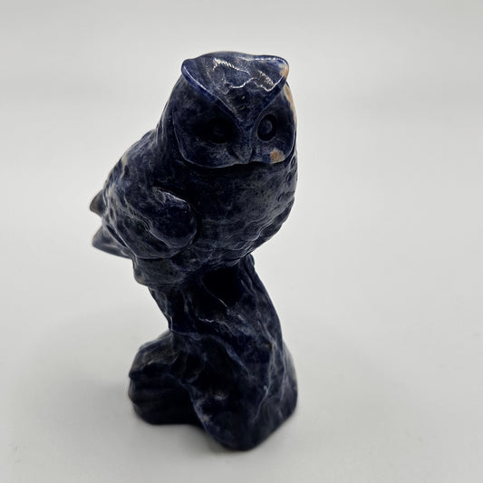 Sodalite Owl Specimen 4 inch
