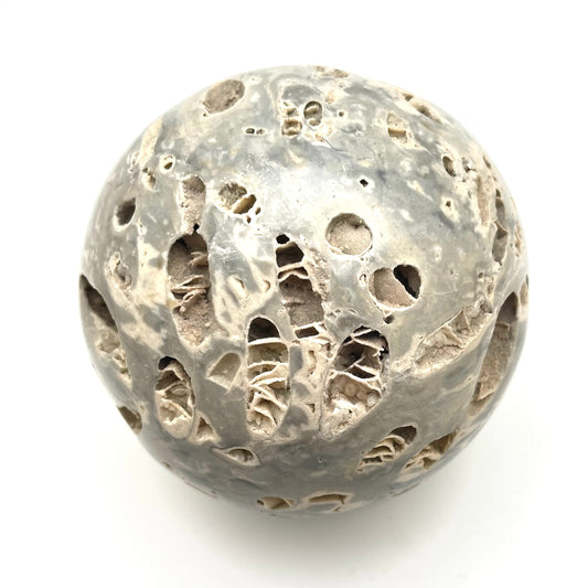 Fossil Coral Sphere