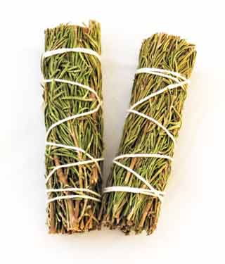 Baby White Sage & Rosemary Bundle