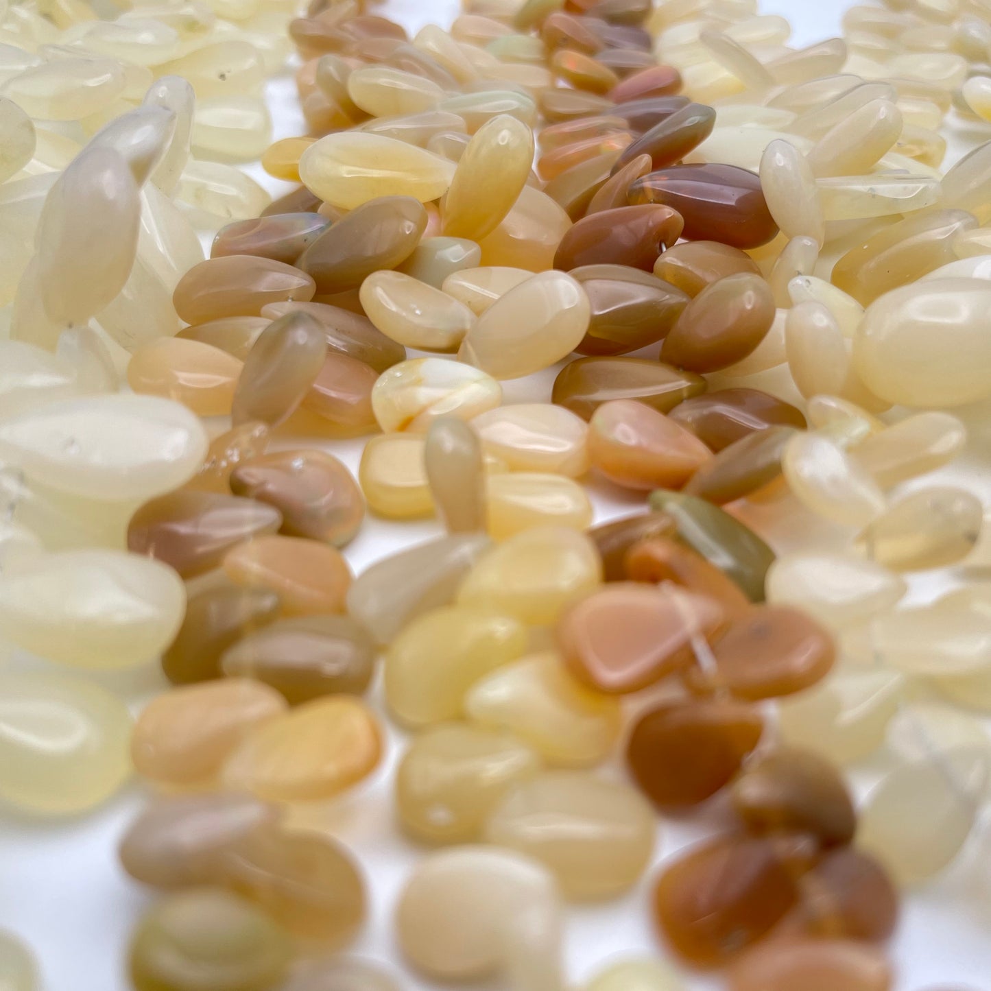 Assorted Opal Top Drill Teardrop Strand