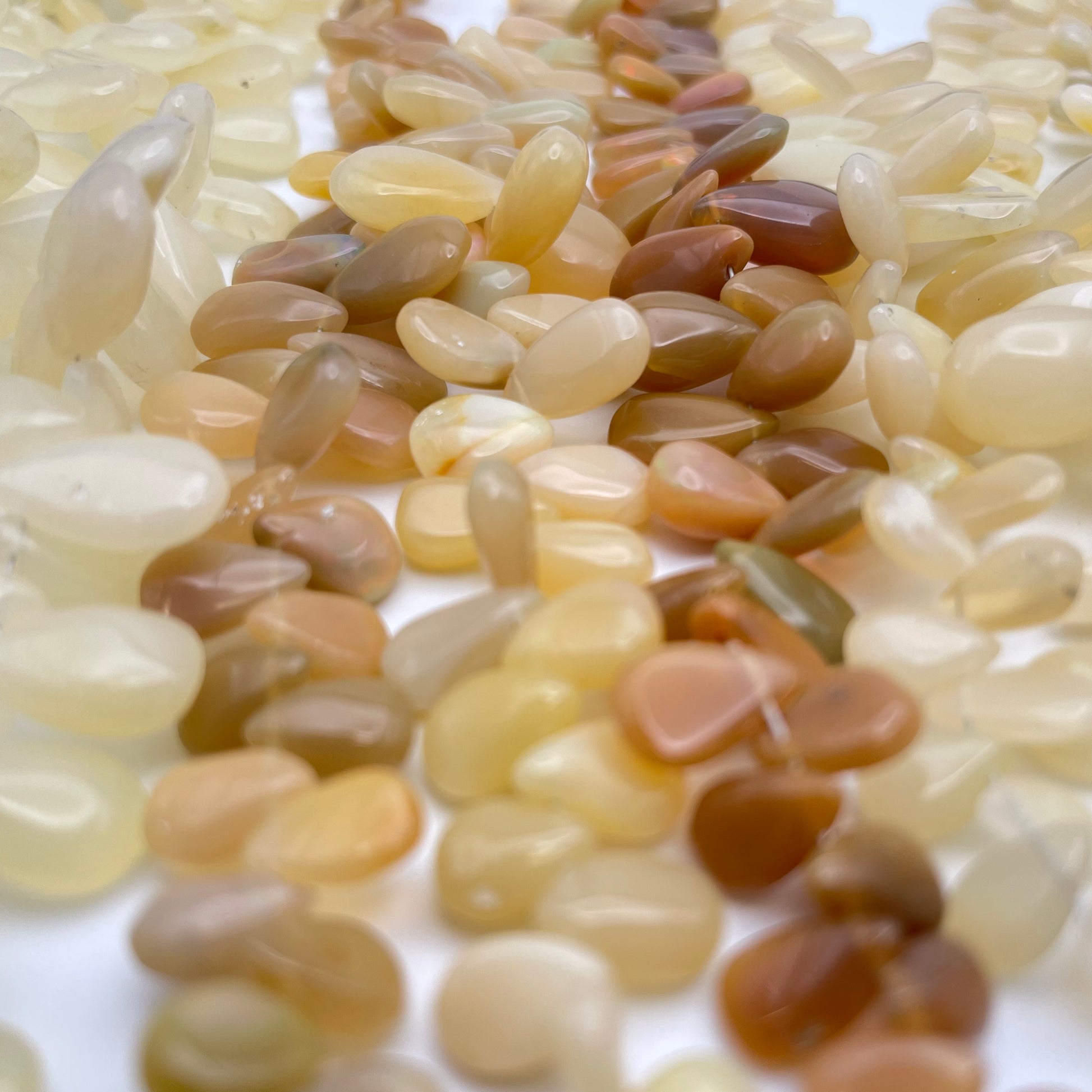 Assorted Opal Top Drill Teardrop Strand