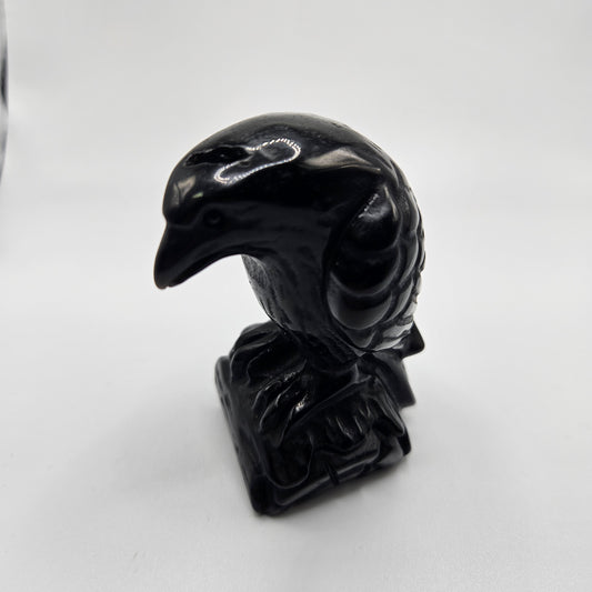 Black Onyx Crow Specimen 4 inch