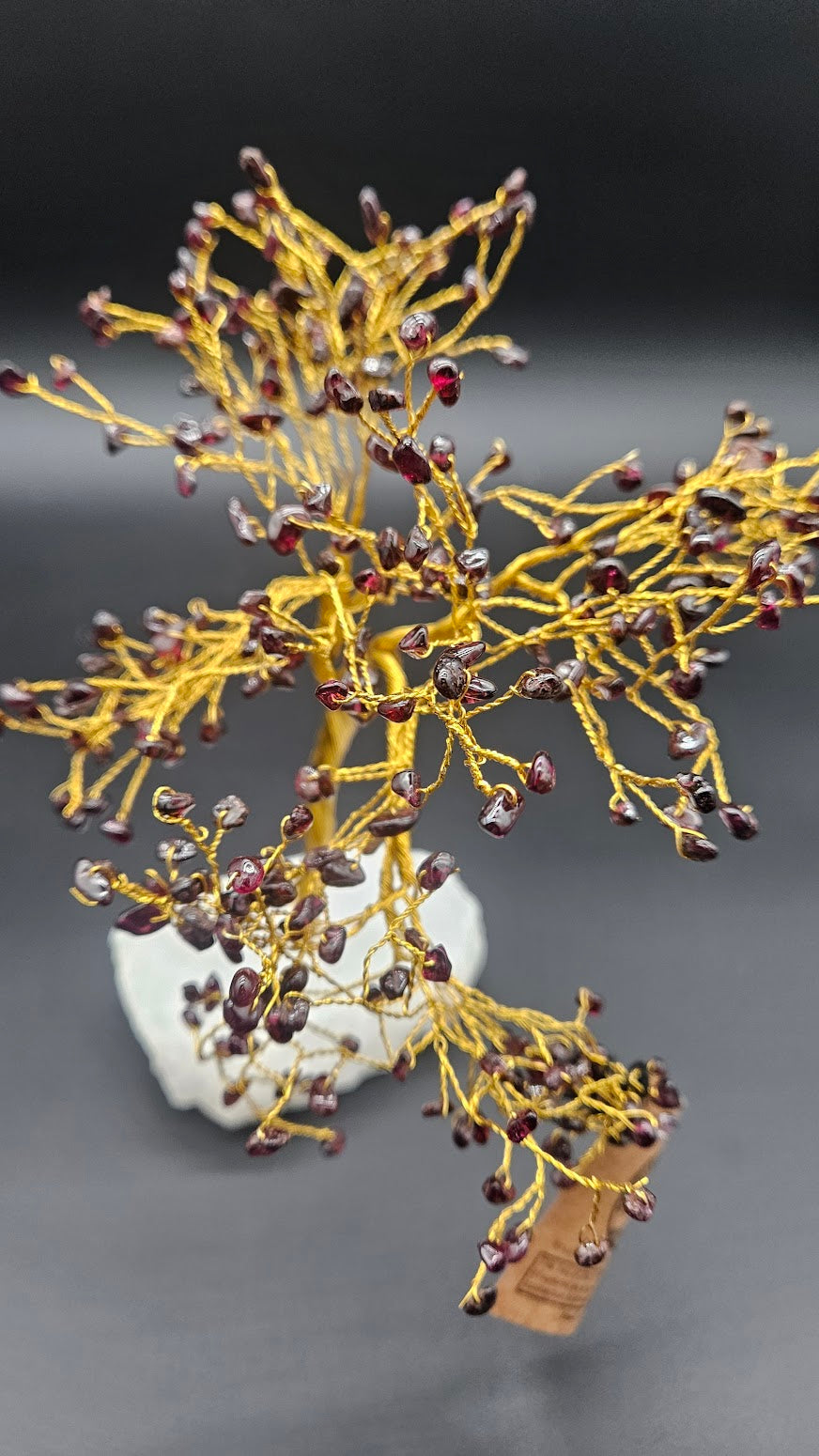Garnet Bonsai Tree.