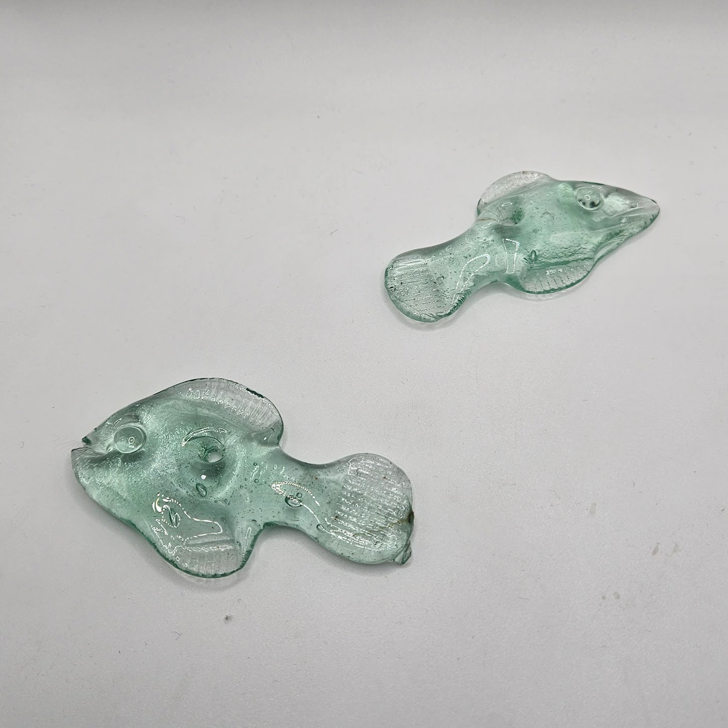 Glass Fish.