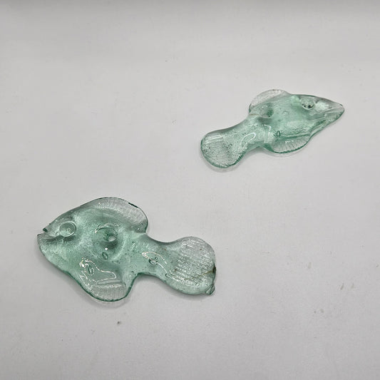 Glass Fish.