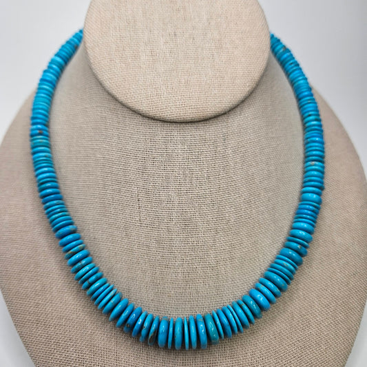 Graduated Coin Turquoise.