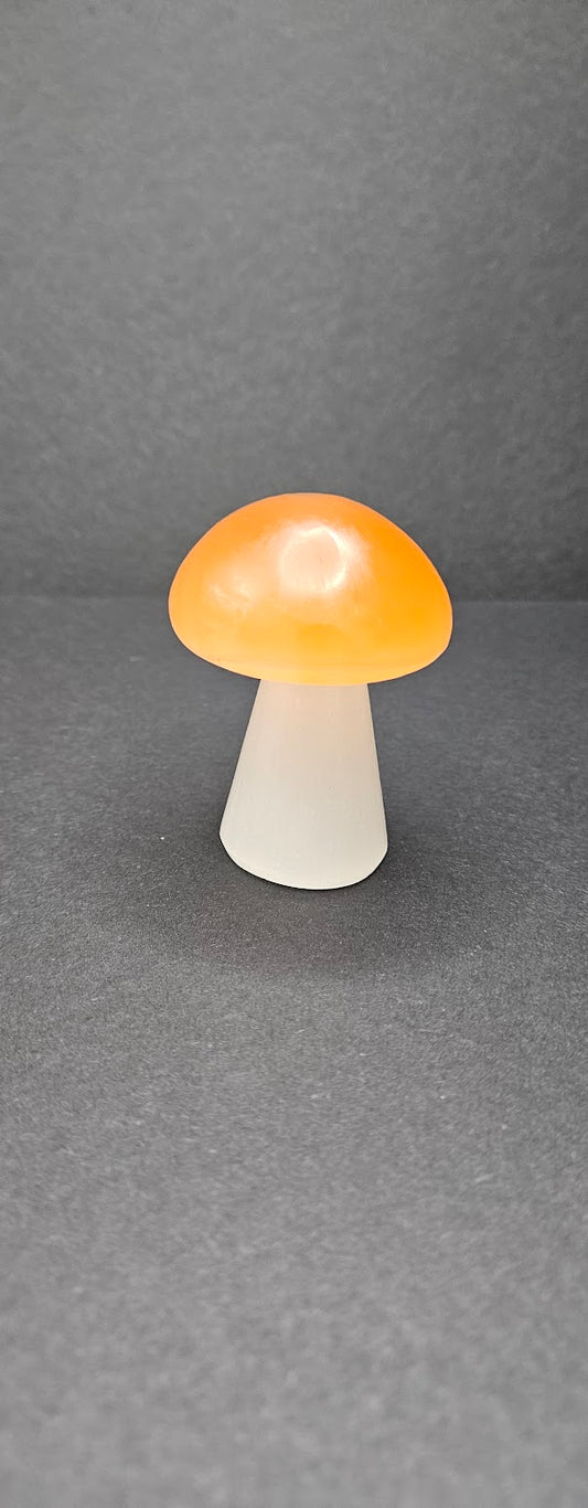 Selenite Mushroom White and Orange.