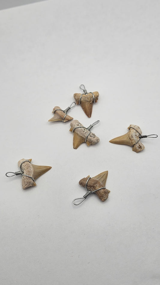 Shark Tooth Pendants.