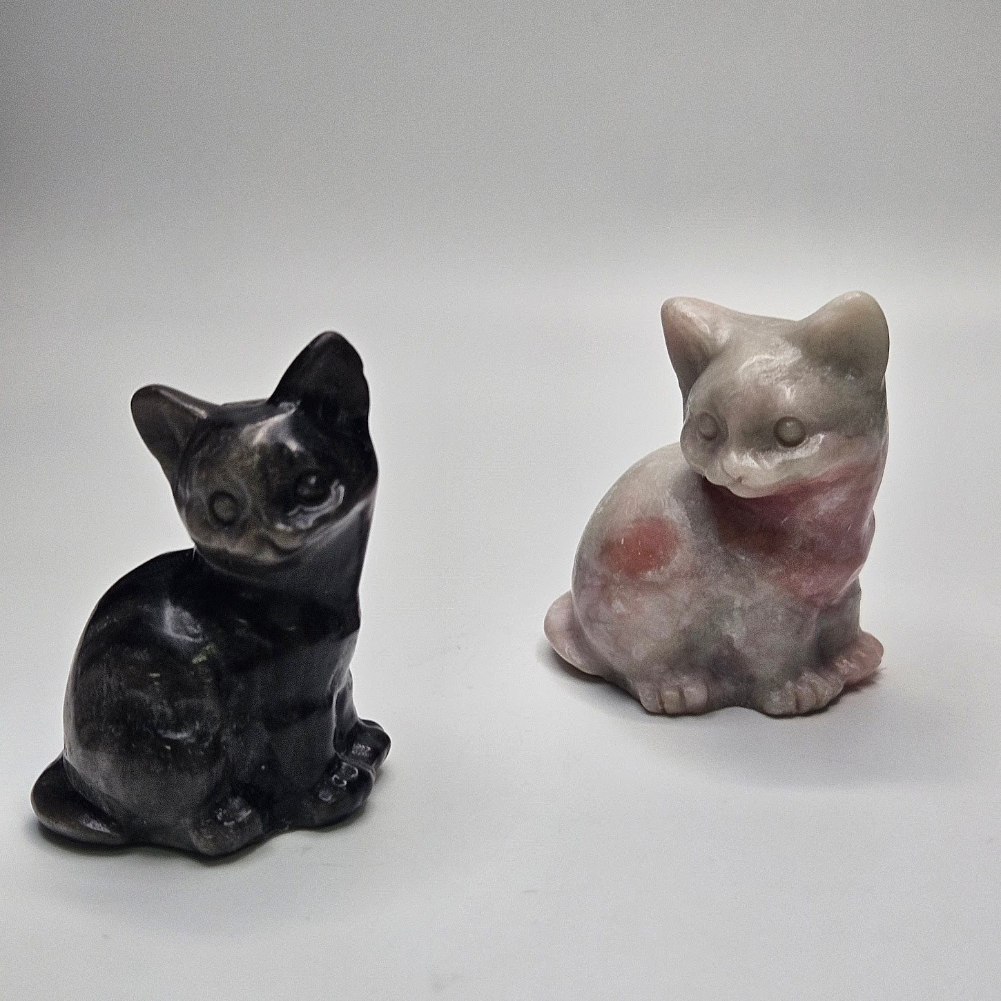 Sitting Cat.