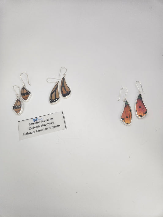 Two pairs of sterling silver butterfly wing-shaped earrings crafted by a talented jewelry artist are displayed on a white background. One pair resembles monarch wings, labeled "Species: Monarch, Order: Lepidoptera, Habitat: Peruvian Amazon," capturing the essence of exquisite butterfly jewelry.