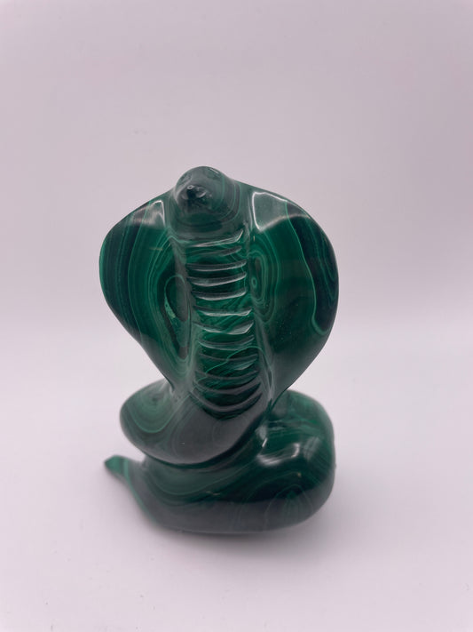 Malachite Cobra 485.90