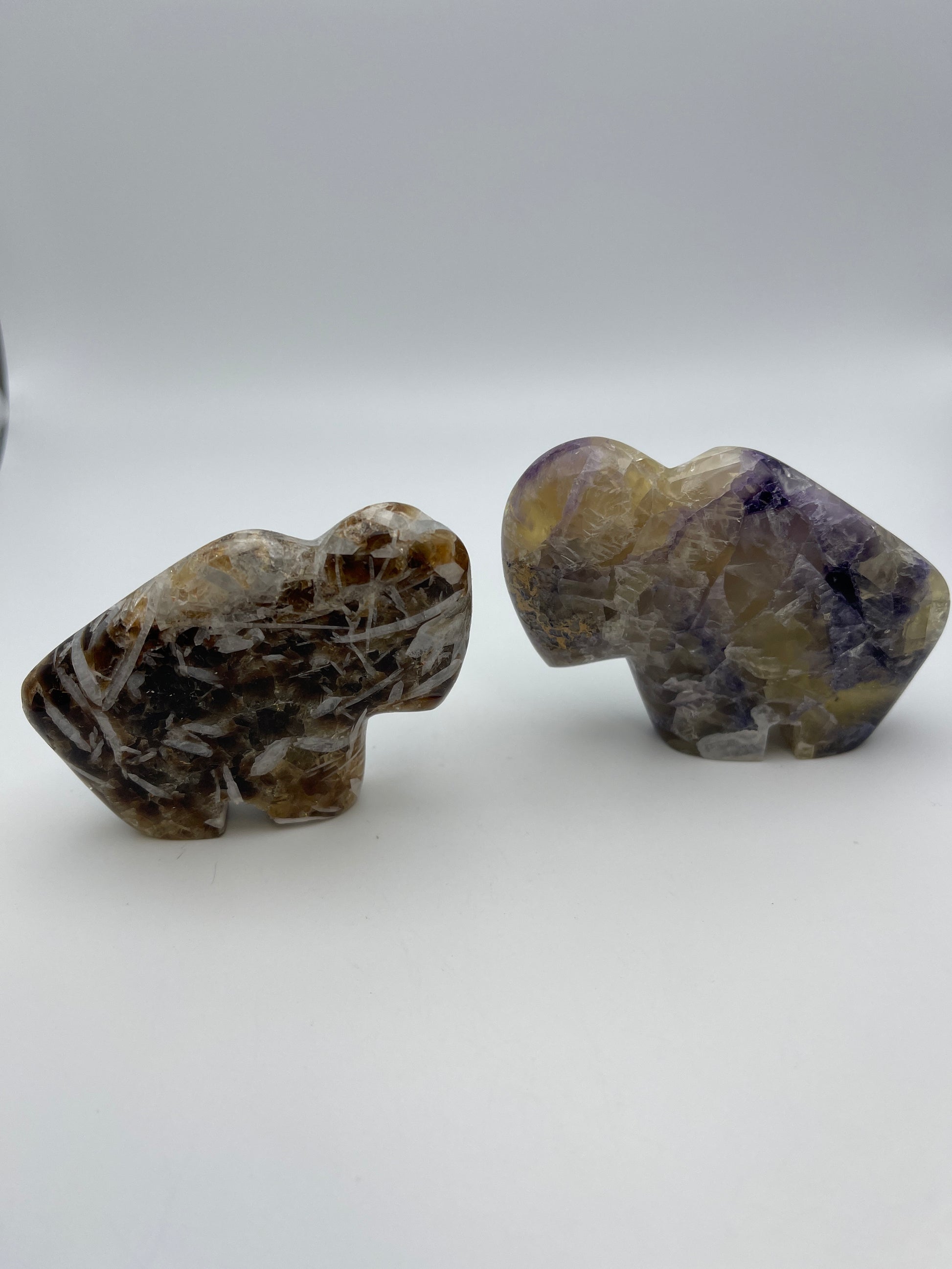 Assorted Medium Buffalo Carving