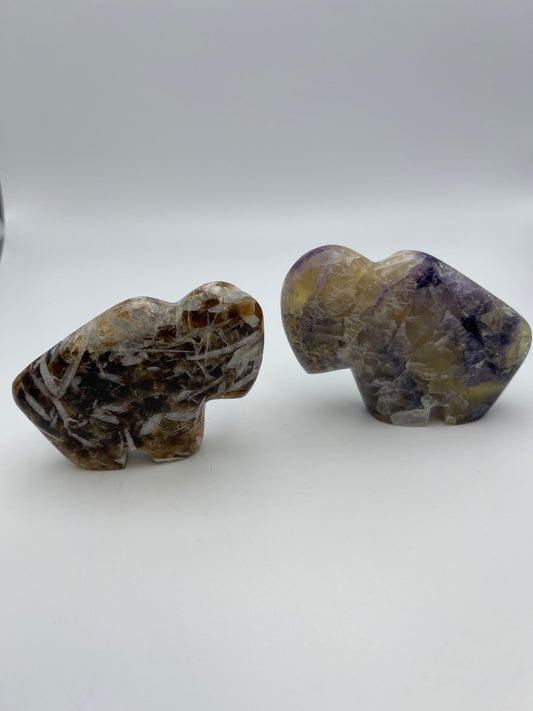 Assorted Medium Buffalo Carving