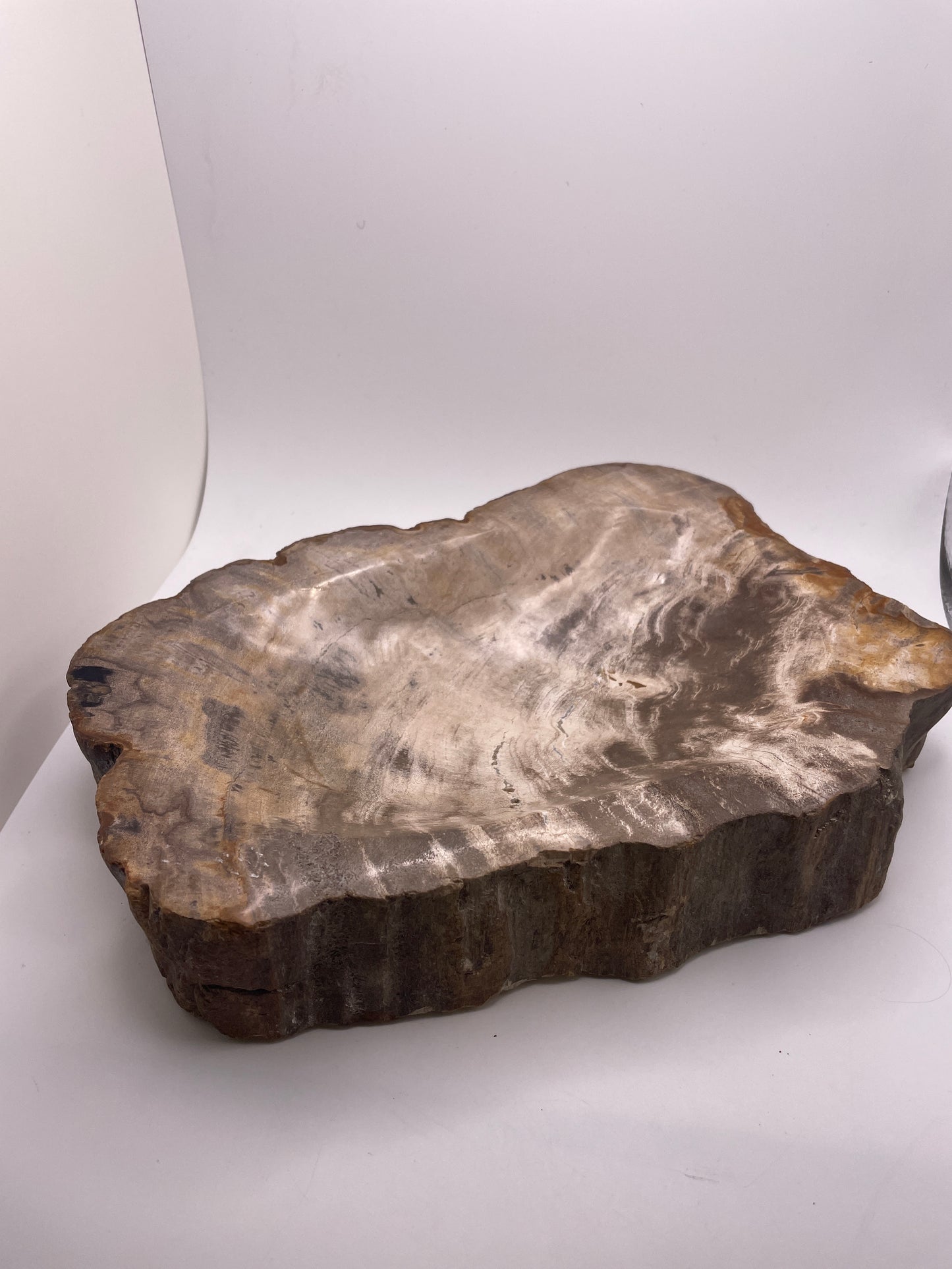 Petrified Wood Bowl With Rough 69.99