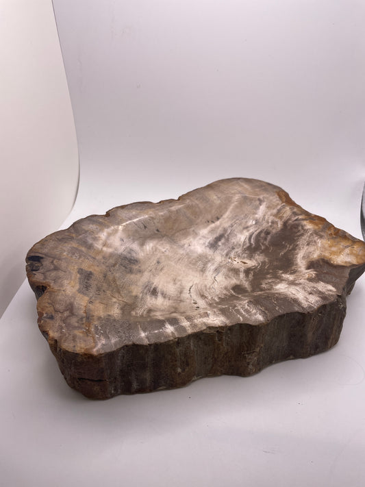 Petrified Wood Bowl With Rough 69.99