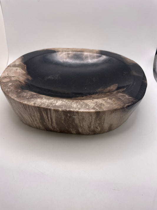 Petrified Wood Bowl 59