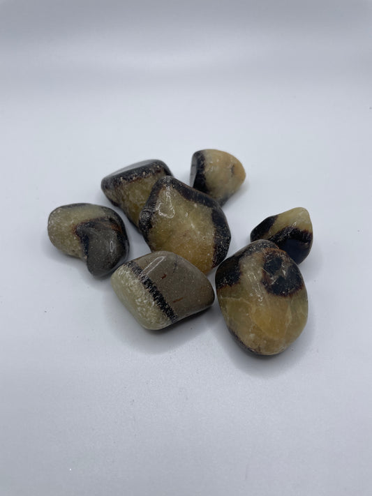 Septarian Tumbled Stone