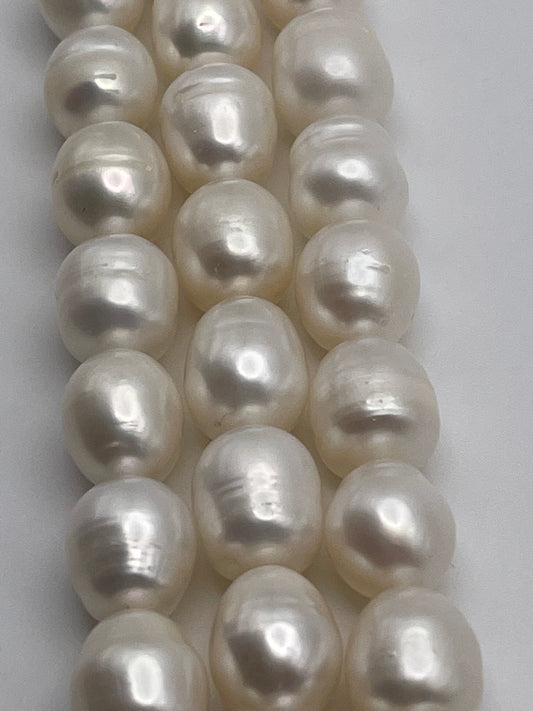 9.5-10.5 White Rice pearl