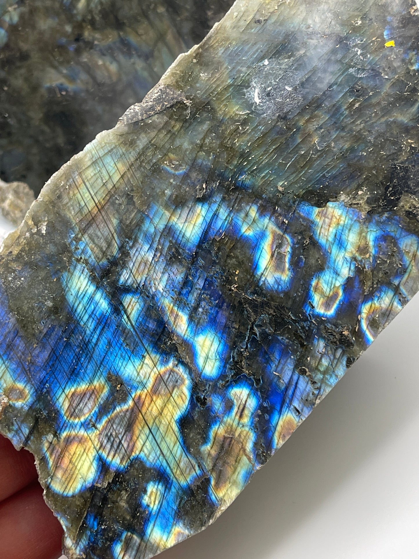 Labradorite Rough Slab 45.99