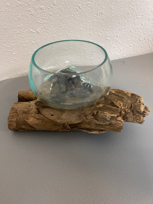 Blown Glass on Gamal Root Bases