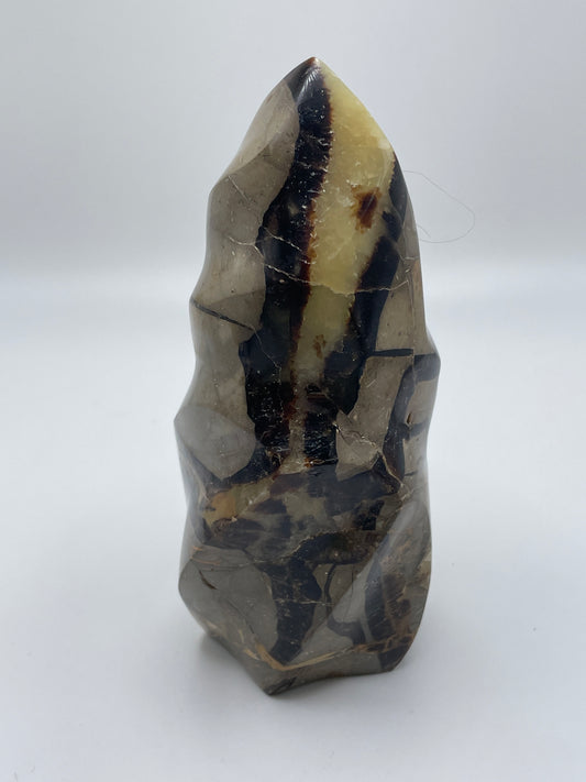 Septarian Flame Gemstone Specimen