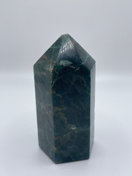 Apatite Point 114