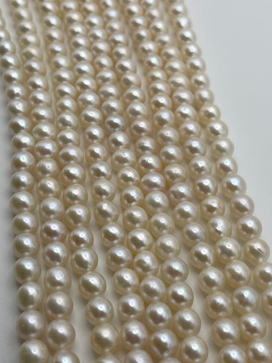 Close-up view of several strands of 5.5-6mm white potato pearls arranged side by side on a light background. The pearls are uniform in size and have a slight iridescent sheen, reflecting light softly.