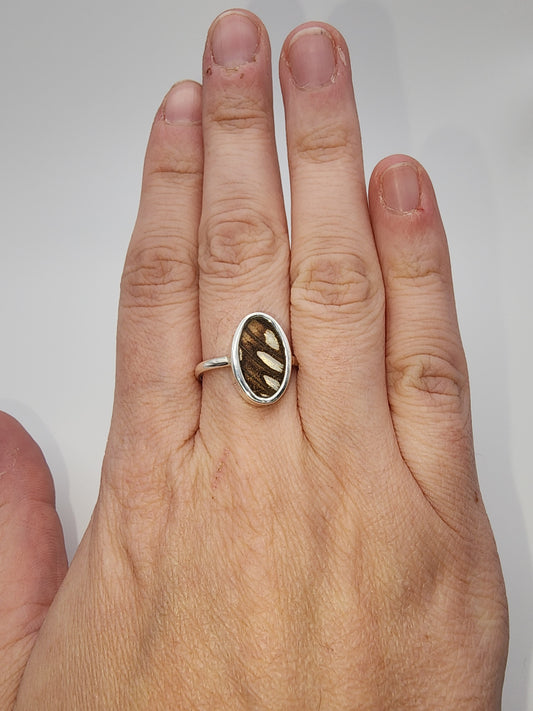SS Butterfly Ring